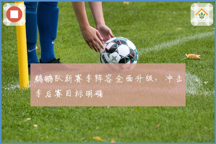 鹈鹕队新赛季阵容全面升级，冲击季后赛目标明确