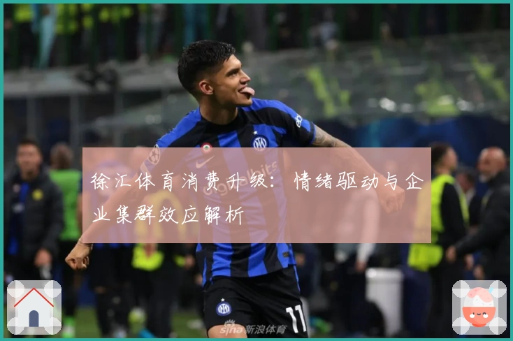 徐汇体育消费升级：情绪驱动与企业集群效应解析