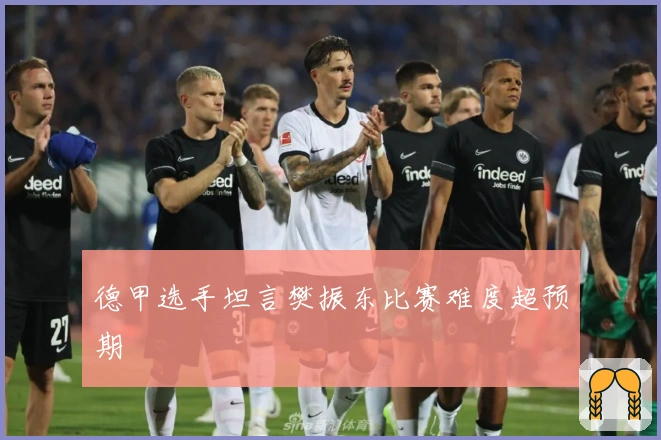 德甲选手坦言樊振东比赛难度超预期