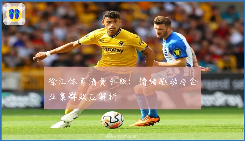 徐汇体育消费升级：情绪驱动与企业集群效应解析